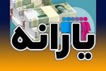 ماجرای قطع یارانه زوج‌های حقوق‌بگیر چیست؟