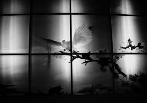 درخشش عکاس خوزستانی در ششمین جشنواره تلویزیونی مستند ایران