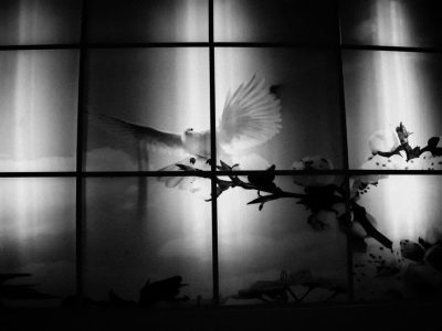 درخشش عکاس خوزستانی در ششمین جشنواره تلویزیونی مستند ایران