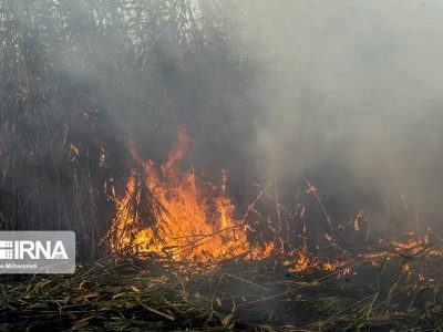 درخواست کمک خوزستان برای تامین تجهیزات مهار آتش در جنگلها