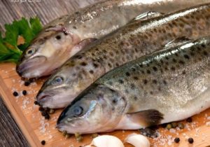 بازار قزل آلا در خارج داغ تر از بازار داخل!