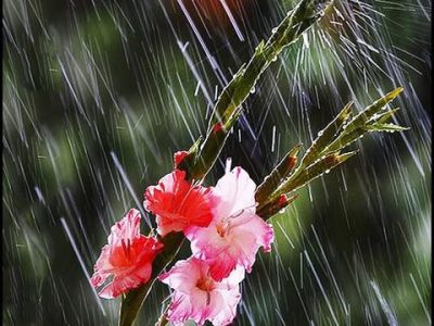 ورود سامانه بارشی جدید به کشور از فردا