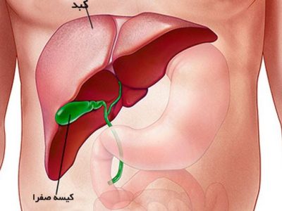 تراشه‌ای که امیدبخش درمان بیماری کشنده کبد چرب می‌شود