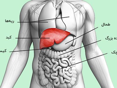 تشخیص زودهنگام بیماری‌های کبد را جدی بگیرید