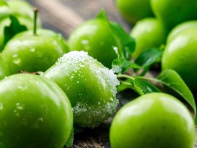 دانستنی های مفید درباره “گوجه سبز”