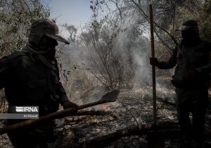 آتش سوزی مزارع در خوزستان علاوه بر ایجاد آلودگی، تنوع زیستی را نیز نابود می‌کند