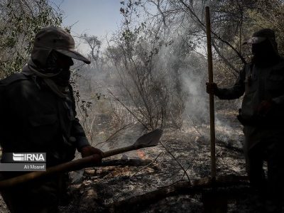 آتش سوزی مزارع در خوزستان علاوه بر ایجاد آلودگی، تنوع زیستی را نیز نابود می‌کند