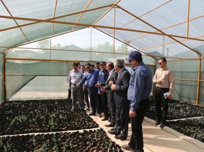 اقدامات شایسته شرکت نفت و گاز مسجدسلیمان در تولید نهال وتوسعه فضای سبز الگوی شایسته ای برای سایر شرکت ها و سازمان های دولتی خوزستان است / تولید سالانه ۲۰۰ هزار اصله نهال در شرکت نفت و گاز مسجدسلیمان برای تحقق پویش یک میلیارد نهال در ایران