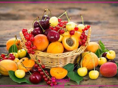 میوه را با معده خالی بخوریم یا پُر؟ / بهترین زمان برای خوردن میوه این موقع است/میوه‌های پرخاصیت پاییزی را بشناسید