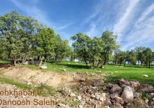 مناطق چهارگانه محیط زیست کدامند و چه تفاوتی باهم دارند؟