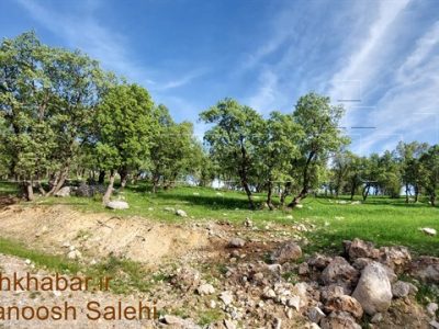 مناطق چهارگانه محیط زیست کدامند و چه تفاوتی باهم دارند؟