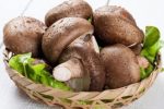 فیبر رژیمی موجود در قارچ به هضم غذا و کاهش وزن کمک می کند