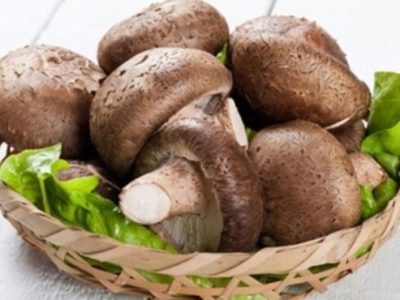 فیبر رژیمی موجود در قارچ به هضم غذا و کاهش وزن کمک می کند