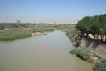 درختان ساحل کارون برای ایجاد &#۸۲۲۰;منظر رودخانه&#۸۲۲۱; جابه‌جا می‌شوند