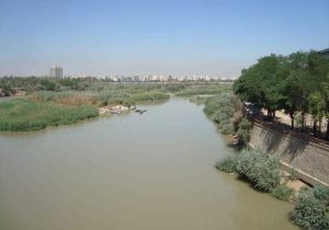 درختان ساحل کارون برای ایجاد “منظر رودخانه” جابه‌جا می‌شوند