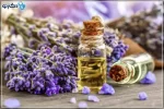 با خواص بی‌نظیر اسطوخودوس آشنا شوید