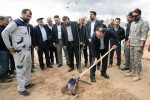 مهندس دانشی: تا ۱۴۰۴، هر شرکت بهره بردار ۱ میلیون نهال را تولید و کشت خواهد کرد