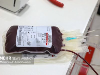 توسط محققان دانشگاه امیرکبیر؛ اسفنج بندآورنده خون با پر مرغ تولید شد