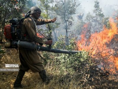 آتش‌سوزی بیشه‌زارهای دزفول مهار شد