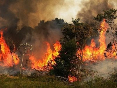 مهار آتش‌ در ارتفاعات شیمبار/ وقوع ۸ آتش سوزی از ابتدای امسال در این منطقه