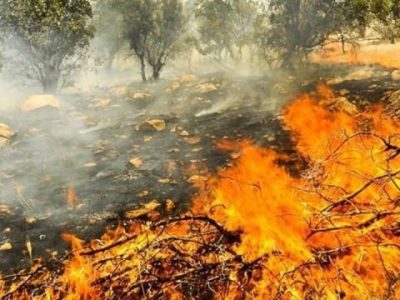 آتش‌سوزی در جنگل‌های اندیکا مهار شد