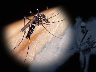 تب دانگ در یک قدمی/ ۴۰ شهر درگیر و ۱۵۰ مورد ابتلا