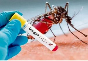 ۸۰ درصد بیماران تب دنگی علامت ندارند/ وجود پشه مهاجم در ایران+علایم ابتلا