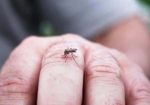 تب دنگی چیست؟ + روش‌های پیشگیری و درمان خانگی