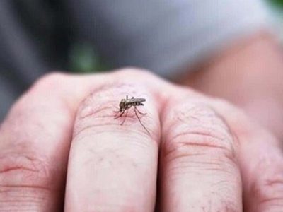 تب دنگی چیست؟ + روش‌های پیشگیری و درمان خانگی