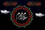 دستورالعمل هیئت‌ها مشخص شد: عدم استفاده از فضای باز تا جمر ضد سیگنال