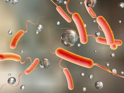 وبا ؛ بیماری روزهای گرم سال/ ۱۸ توصیه بهداشتی که باید جدی بگیریم