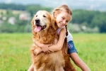 واقعیت‌های کمتر گفته شده از حیوانات خانگی / هزینه نگهداری سگ‌های خانگی چقدر است؟