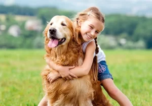 واقعیت‌های کمتر گفته شده از حیوانات خانگی / هزینه نگهداری سگ‌های خانگی چقدر است؟
