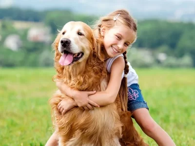 واقعیت‌های کمتر گفته شده از حیوانات خانگی / هزینه نگهداری سگ‌های خانگی چقدر است؟
