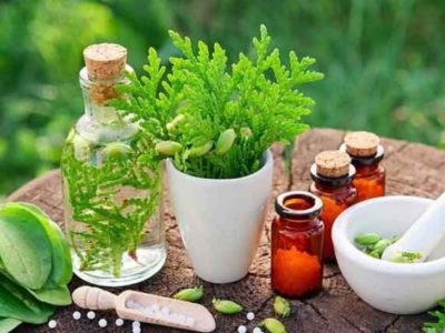 برداشت ۲۴ تُن گیاه دارویی در خرمشهر