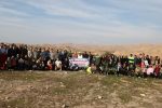 کاشت ۲۰۰ اصله نهال در منطقه حفاظت‌شده هفت‌شهیدان