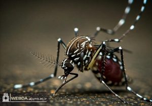 خوزستانی‌ها اقدامات پیشگیرانه انجام دهند