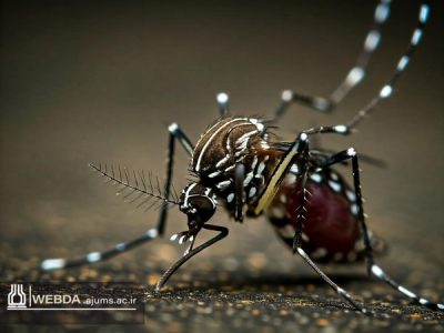 خوزستانی‌ها اقدامات پیشگیرانه انجام دهند