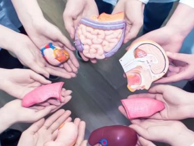 درج نشان قلب روی گواهینامه رانندگی برای اهداکنندگان عضو