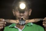 پاسخ به چند سوال درباره ویروس جدید چینی