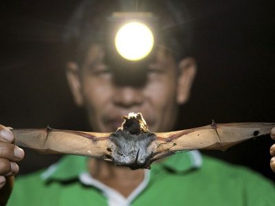 پاسخ به چند سوال درباره ویروس جدید چینی