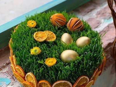 آموزش ۷ مدل سبزه نوروزی سریع و راحت در خانه