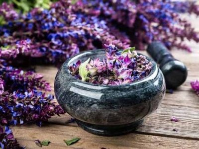 گیاهی شگفت انگیز برای سلامت، زیبایی و تناسب اندام