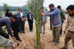مهندس ناصری: در سال جاری ۲۰ هزار نهال به مناطق همجوارتاسیسات اهدا شد