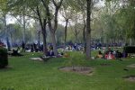 ۱۳ نکته مهم برای اینکه روز قدردانی از طبیعت را به روز عزای آن تبدیل نکنیم!