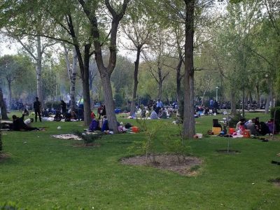 ۱۳ نکته مهم برای اینکه روز قدردانی از طبیعت را به روز عزای آن تبدیل نکنیم!