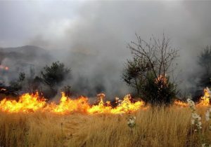 جدی بودن خطر گسترش آتش سوزی در طبیعت خوزستان