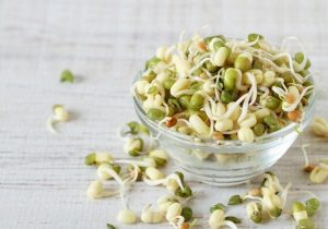 جوانه ماش؛ بمب ویتامین و پروتئین