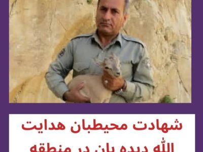 پیام انجمن محیط زیست حامی جان مسجدسلیمان به مناسبت شهادت مظلومانه محیط بان خوزستانی