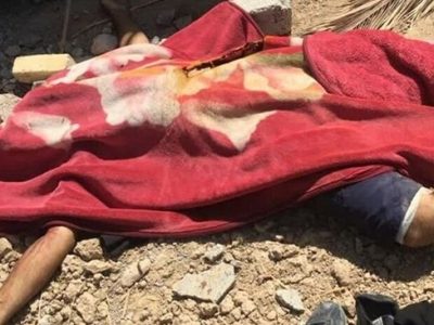 کشف جسد ناشناسی که توسط حیوانات خورده شد